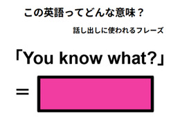 この英語ってどんな意味？「You know what」 画像