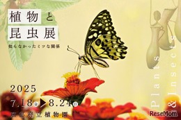【夏休み2025】京都府立植物園「植物と昆虫展」8/24まで、自由研究にも