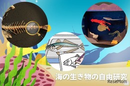【夏休み2025】「海とさかな」自由研究・作品コンクール、9/26応募締切