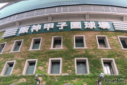 【高校野球2025夏】東洋大姫路、序盤リード守り切る 花巻東との激闘制し16強進出