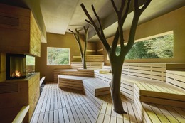 里山の自然活かした“山＆滝サウナ”が革新的！千葉「SATOYAMA TERRACE」で新感覚のリフレッシュ体験