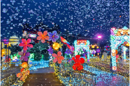 伊豆ぐらんぱる公園で体験型イルミネーション、11月7日から “龍の大冒険”コンセプトに新たな演出