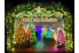 550万球の光が織りなす“魔法の森” 静岡・時之栖でイルミネーション「ひかりのすみか」