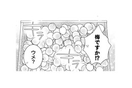 今回のいただきものは梅！いいにおいだけど味は甘くないこの実の使い道は…？【トゥットでアペロ #21】