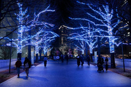 横浜最大級イルミ「ヨコハマミライト2025」街一帯を彩るサスティナブルな光と多彩な連動イベント