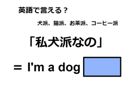 英語で「私、犬派なの」は何て言う？