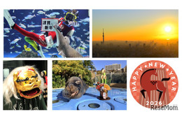 【年末年始】元旦は初日の出、獅子舞も登場…サンシャインシティのお正月 画像