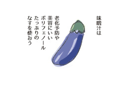 茄子は、老化防止や美容にいいポリフェノールがたっぷり。さらに吸収をよくするには？【激せまキッチンで時短！簡単！ムダなしごはん #３】