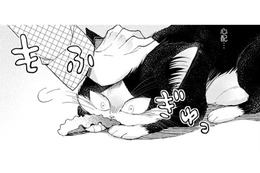 【猫視点】人間がいきなり頭をさわってきた！ みんなこうするのが好きね～【同居人はひざ、時々、頭のうえ。 #32】