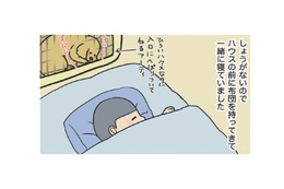 ゲージから離れると鳴き出す、初めての夜。愛犬のそばに布団を運んで眠たのは想い出深い…【おさんぽですし！　おしゃべり犬とイライラ猫の日記 #３】 画像