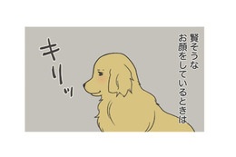 寝ぼけ顔は知的で、目が醒めるととぼけた顔に？愛犬のギャップがかわいい！【おさんぽですし！　おしゃべり犬とイライラ猫の日記 #５】 画像