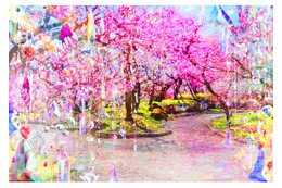 京都・北野天満宮で蜷川実花 with EiMのアートに浸る イマーシブ公演で“幻の茶会”を目撃＜KYOTO NIPPON FESTIVAL＞