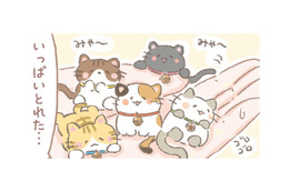 UFOキャッチャーでかわいい猫ちゃんを大量ゲット！しかも生きてる!?【あなたとくらし隊！ちびっ福 #８】