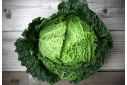 買ったキャベツを廊下に放置→しかし次の瞬間…愛犬の”まさかの行動”に「何これ！」 画像