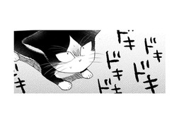 【猫視点】この家は全部私の場所なんだから！ 戦ってると、人間が泣いてる？怖かったのね…【同居人はひざ、時々、頭のうえ。 #41】