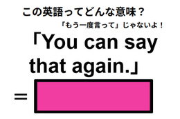 この英語ってどんな意味？「You can say that again.」