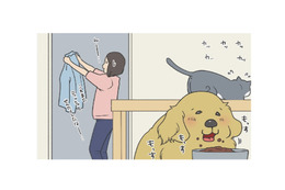 ごはんより安否確認？食事そっちのけで様子を見にくる愛犬がカワイイ【おさんぽですし！　おしゃべり犬とイライラ猫の日記 #10】