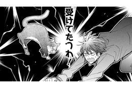 【猫視点】また人間が倒れていたけど、今日はいつになく真剣な顔！これは… 勝負ね!!【同居人はひざ、時々、頭のうえ。 #61】