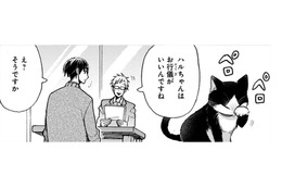 猫と生活していると爪とぎ跡があるはずなのに、見当たらない… どこで爪とぎしているのかな？〈4コマ漫画〉【同居人はひざ、時々、頭のうえ。 #63】