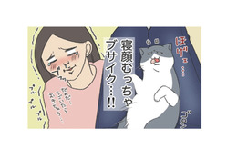 ツンデレだった愛猫が膝に乗ってくれるようになった寝顔むっちゃブサイクでたまらん【おさんぽですし！　おしゃべり犬とイライラ猫の日記 #20】