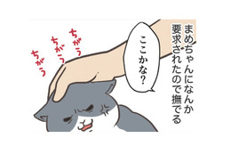 愛猫にねだられ、なでなでタイム。まさか「肉球」を触って欲しいなんてことあるんだ…【おさんぽですし！　おしゃべり犬とイライラ猫の日記 #22】