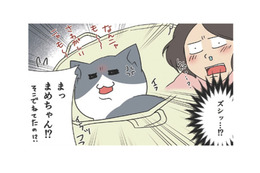 お気に入りの場所から絶対に動きたくない愛猫。漬物石より重たくなるのはなぜ？【おさんぽですし！　おしゃべり犬とイライラ猫の日記 #23】