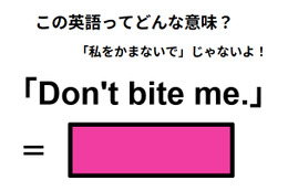 この英語ってどんな意味？「Don’t bite me.」