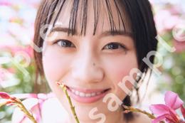 乃木坂46川崎桜、1st写真集発売記念YouTube生配信決定 限定特典ポスター＆メッセージカードも公開 画像