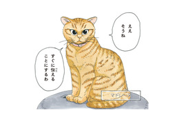 老犬の柴犬に嫁いできたという不思議な猫。気品溢れる「マドレーヌ夫人」とは？【かのこちゃんとマドレーヌ夫人 #１】