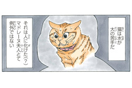 人に化けた「マドレーヌ夫人」猫は水が大の苦手というけど…水嫌いを克服できるのか!?【かのこちゃんとマドレーヌ夫人 #10】