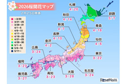 桜開花予想、東京3/22…つぼみ調査で西日本は「先が黄色に」