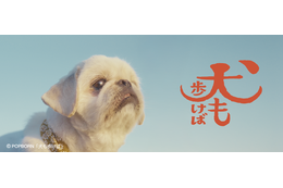 フォワー18万人超えの人気犬が前野朋哉と共演、短編映画『犬も歩けば』YouTubeにて公開