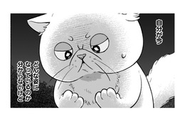 魔術師が作った液体をかけられたら、猫になっちゃった！早く神殿に帰りたい！【根暗騎士による溺愛満喫中のブサ猫、実は聖女です！#19】