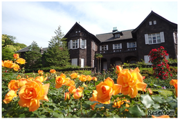 100種200株のバラ咲く「旧古河庭園」春のフェス4/29開幕