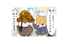 麗しのプードル先輩と一緒に外回り！だけど、雨が降ったあとの彼女は、まるで別人で…？【がんばれ！しばりーまん #７】