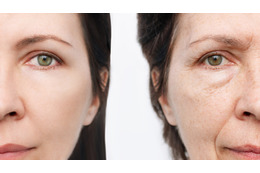 「老化は自然現象ではなく、コントロールできる病気」。老化抑制する成分がブロッコリーの７倍もある野菜とは