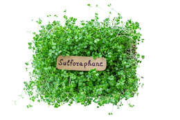 血糖値が10％ダウン、肝臓の数値も10％以上改善。エビデンスが証明するスーパー野菜「ブロッコリースプラウト」の実力とは【お茶の水女子大 食物栄養学科教授が解説】