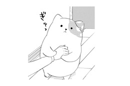 「好きだから」気持ちを伝えるきのこいぬ…だけど、その本心はうまく伝わらなくて【きのこいぬ #９】