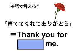 英語で「育ててくれてありがとう」は何て言う？