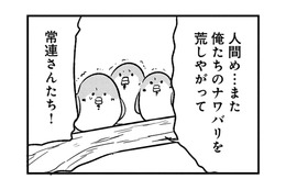 「縄張りを荒らしたな」掃除が気に入らない常連スズメたちが、店の中で大暴れ！【とりきっさ！ #10】
