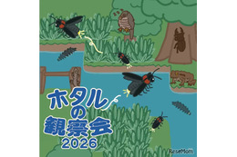 東京・練馬で「ホタルの観察会」6-7月…展示や体験も