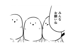 「これくらい、すぐ直せる」一見、可愛いトリビトは、とんでもないポテンシャルの持ち主だった！【とりきっさ！ #22】