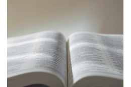 英単語や文法は知っているハズなのに…長文になると読めない！書けない‼生成AIで「英語力」が伸びるってホント？【使い方実例つき】