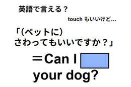 英語で「ペットに触ってもいいですか？」は何て言う？