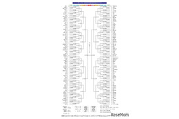 【高校野球2026夏】神奈川大会の組合せ決定…横浜は7/9初戦