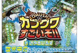【夏休み2026】世界の人気昆虫が大集合…けやきひろば7/18