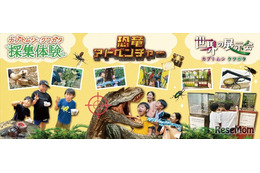 【夏休み2026】カブトムシ・クワガタ収集体験など、三島スカイウォーク