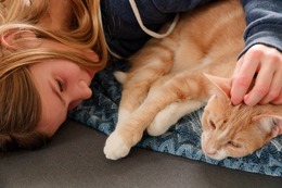 亡き父が大切にしていた猫を「保健所に連れていけ」と言い放った夫…それでも妻が離婚できなかった理由とは