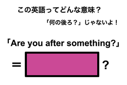 この英語ってどんな意味？「Are you after something?」 画像