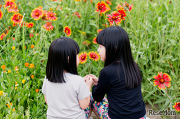 小学生におすすめのイベント…9-12月に開催、応募開始などの情報まとめ